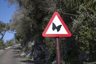 Road sign picture of a butterfly Rock nature reserve Gibraltar, British terroritory in southern
