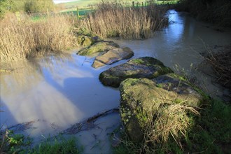 Stepping stones at Swallowhead Springs ancient sacred site, River Kennet, West Kennet, Wiltshire,