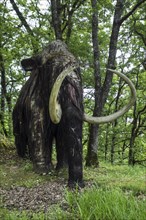 Replica of woolly mammoth (Mammuthus primigenius) at the Le Thot museum about prehistoric animals