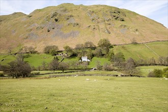 White detached farmhouse, Boredale valley, Martindale, Lake District national park, Cumbria,