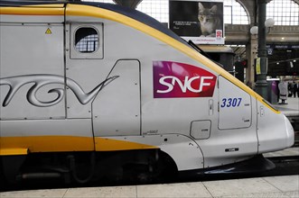 TGV, Gare du Nord, North Station, Paris, France, Europe