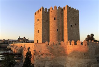 Torre de la Calahorra medieval tower and Roman bridge, Cordoba, Spain, Europe