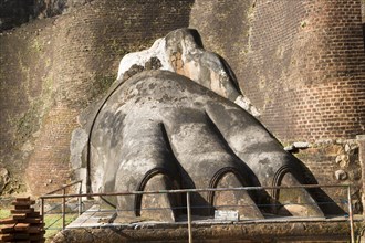 Lion foot claw at palace fortress Sigiriya, Central Province, Sri Lanka, Asia