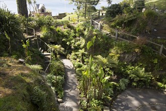 Sunken sub-tropical garden, Gyllyngdune Gardens, Falmouth, Cornwall, England, UK