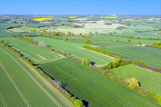 Aerial view over rural bocage landscape with fields and pastures, patchwork of plots surrounded by