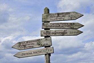 Wooden signpost for walkers in the High Fens, Hautes Fagnes, Belgian Ardennes, Belgium, Europe