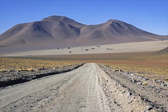 Salvador Dali Desert in the Eduardo Avaroa Andean Fauna National Reserve in the Andean mountains,