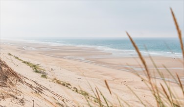 A quiet beach landscape with dunes and few visitors, Lacanau-Ocean, Bordeaux, France, Europe