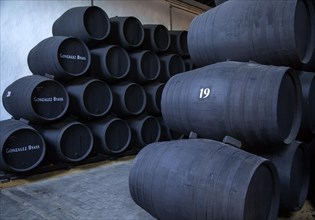 Oak barrels of maturing sherry wine cellar, Gonzalez Byass bodega, Jerez de la Frontera, Cadiz