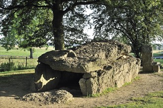 Megalithic Grand Dolmen de Weris and menhir made of conglomerate rock, Belgian Ardennes,