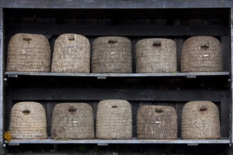 Bee hives, beehives, skeps in rustic shelter of apiary in the Lueneburg Heath, Lunenburg Heath,