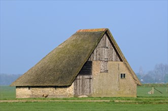 Schapenboet, a traditional barn for storing hay, Texel, Frisian Islands, the Netherlands