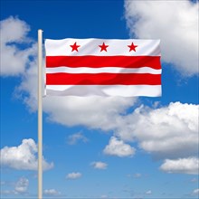 The flag of Columbia, USA, capital of South Carolina, studio, North America