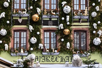 Window with Christmas decoration, Colmar, Alsace, France, Europe