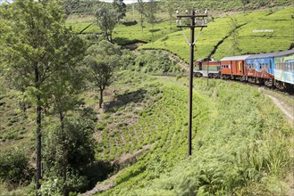 Train journey through countryside near Nuwara Eliya, Sri Lanka, Asia