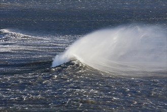 Wave crest at Arctic sea showing airborne spray and spindrift due to high winds