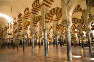 Moorish arches in the former mosque now cathedral, Cordoba, Spain, Europe