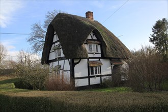 Historic half timbered thatched house, in village of Horton, Pewsey Vale, Wiltshire, England, UK