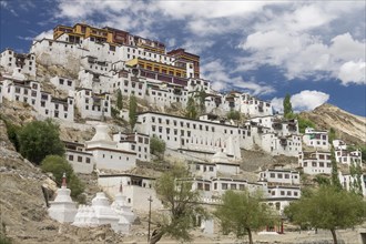Thikse Gompa, the Buddhist monastery of Central Ladakh, seen in summer. This monastery belongs to