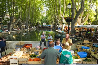 Market in Curcuron by the village pond, Luberon, Vaucluse, Provence, France, Europe