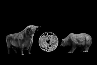 Bull and bear, symbolic figures of the stock market, Studio