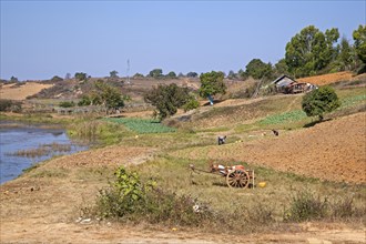 Burmese farmers working on the field, Shan State, Myanmar, Burma, Asia