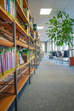 View of bookshelves in a bright library with green plants and windows, Black Forest, Nagold,