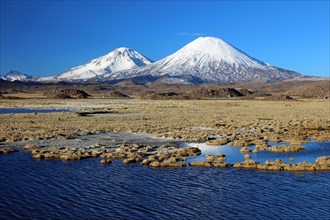 Lauca National Park, Chile, South America