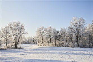 Snowy winter landscape near Polling an der Ammer. Polling, Paffenwinkel, Upper Bavaria, Germany,