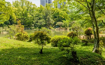 Landscape of foliage and pond in Hiroshima's Shukkeien Gardens in Hiroshima, Japan, Asia