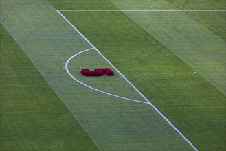 Symbolic shirt number 5 as a flower arrangement on the lawn of the Allianz Arena in honour of Franz