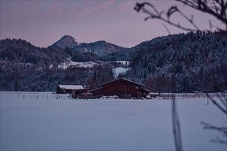 Horse stable on a snow-covered meadow at sunrise with mountain panorama, Niederndorf, Austria,