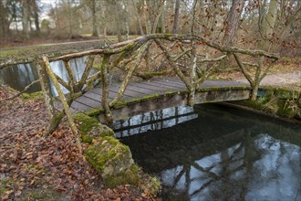 Wooden bridge over a stream in the castle park, Donaueschingen, Baden-Wuerttemberg, Germany, Europe