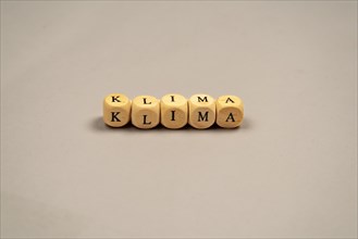 Cubes with letters form the word climate, light background, studio shot, Germany, Europe