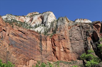Rock face, Zion National Park, Utah, Arizona, USA, North America