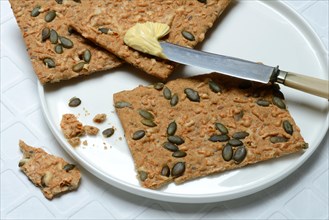 Crispbread with pumpkin seeds on a plate with a knife