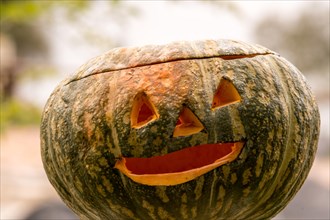 Closeup of Jack-O-Lantern with blurred out background in South Korea