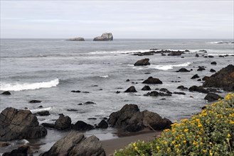 Coast near Monterey Bay, Pacific Ocean, California, USA, North America