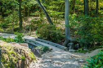 Small wooden footbridge over stream at Shukkeien Gardens in Hiroshima, Japan, Asia
