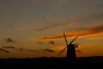 Windmill silhouetted at sunset with a red sky and clouds and a skein or flock of Pink-footed geese