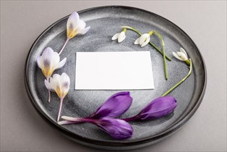 White paper invitation card, mockup with crocus and galanthus flowers on ceramic plate and gray