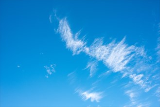 Delicate, white feather clouds, cirrus clouds, decorate the clear blue sky, spring, summer, Lower