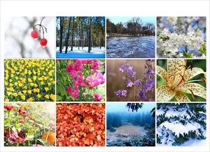 Blank with different twelve colored images of nature for calendar. Ready photo for calendar.
