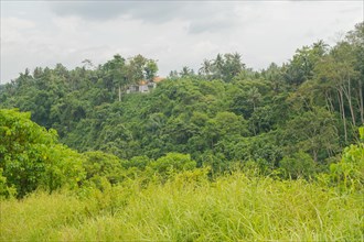 Landscape with houses in jungle near Campuhan ridge walk, Bali, Indonesia, track on the hill with