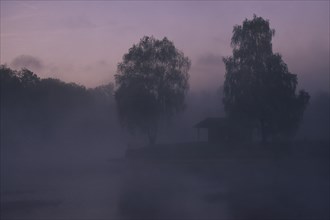 Foggy summer morning at the lake, Neubeurersee, Neubeuern, Bavaria, Germany, Europe
