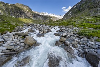 Mountain stream Hornkeesbach, behind mountain peak with snow and glacier Hornkees, Berliner