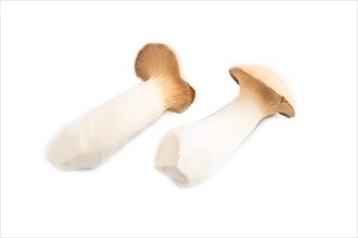 King Oyster mushrooms or Eringi (Pleurotus eryngii) isolated on white background. Side view