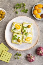 Green cracker sandwiches with cream cheese and cherry tomatoes on gray concrete background. top