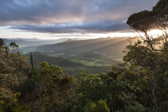 Sunset in Lamington National Park. View of Limpinwood Nature Reserve and Mt Warning, Wollumbin