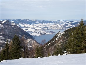 Winter atmosphere, snowy landscape, view from the Schafbergalm to the Mondsee, near St. Wolfgang am